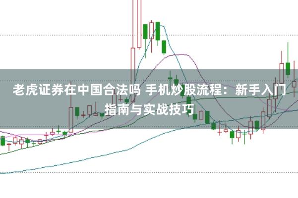 老虎证券在中国合法吗 手机炒股流程：新手入门指南与实战技巧