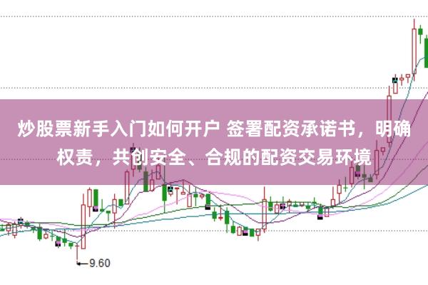炒股票新手入门如何开户 签署配资承诺书,明确权责,共创安全、合规的配资交易环境