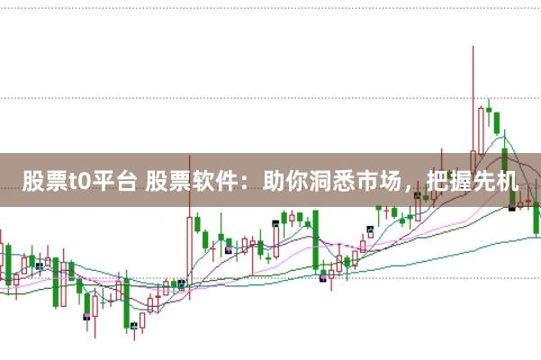 股票t0平台 股票软件:助你洞悉市场,把握先机