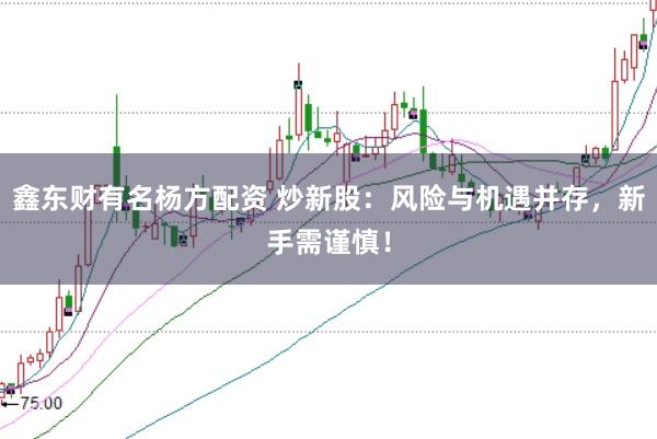 鑫东财有名杨方配资 炒新股：风险与机遇并存，新手需谨慎！
