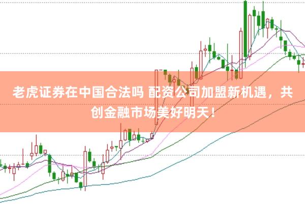 老虎证券在中国合法吗 配资公司加盟新机遇,共创金融市场美好明天!