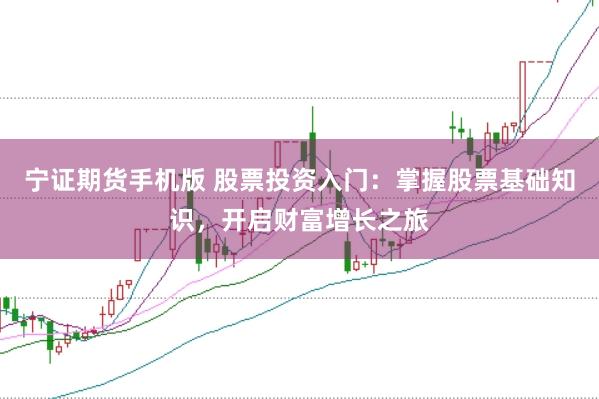 宁证期货手机版 股票投资入门：掌握股票基础知识，开启财富增长之旅