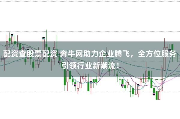 配资查股票配资 奔牛网助力企业腾飞，全方位服务引领行业新潮流！