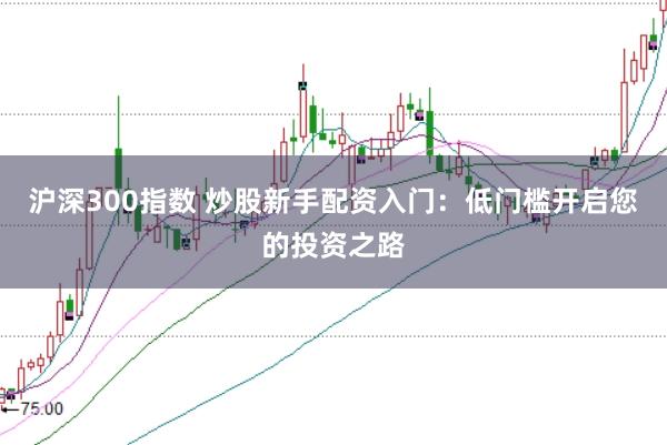 沪深300指数 炒股新手配资入门：低门槛开启您的投资之路