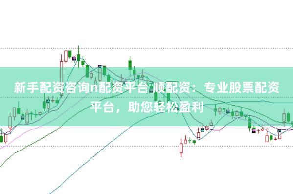 新手配资咨询n配资平台 顺配资：专业股票配资平台，助您轻松盈利
