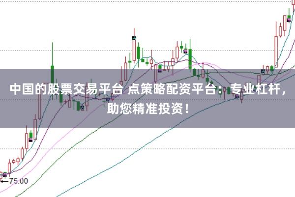 中国的股票交易平台 点策略配资平台：专业杠杆，助您精准投资！