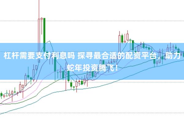 杠杆需要支付利息吗 探寻最合适的配资平台，助力蛇年投资腾飞！