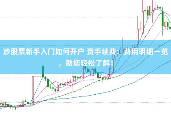 炒股票新手入门如何开户 资手续费：费用明细一览，助您轻松了解！