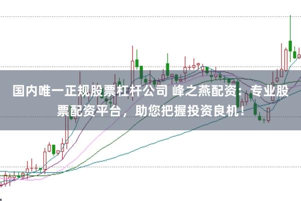 国内唯一正规股票杠杆公司 峰之燕配资：专业股票配资平台，助您把握投资良机！