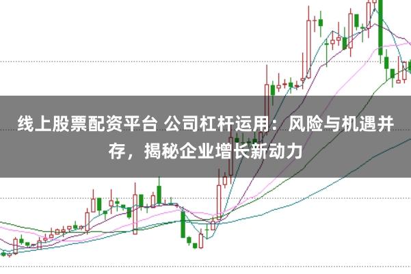 线上股票配资平台 公司杠杆运用：风险与机遇并存，揭秘企业增长新动力