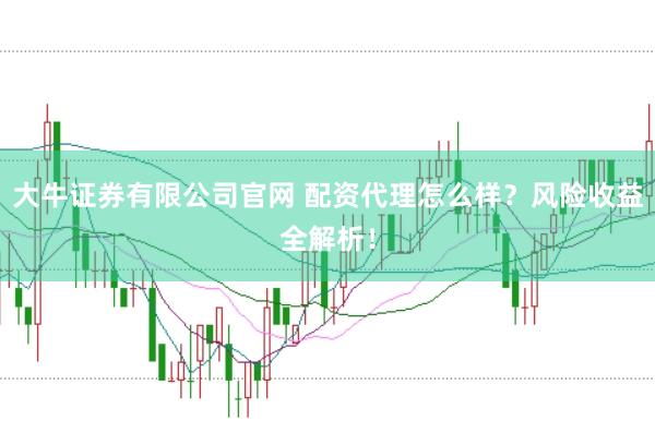 大牛证券有限公司官网 配资代理怎么样?风险收益全解析!