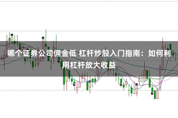哪个证券公司佣金低 杠杆炒股入门指南：如何利用杠杆放大收益