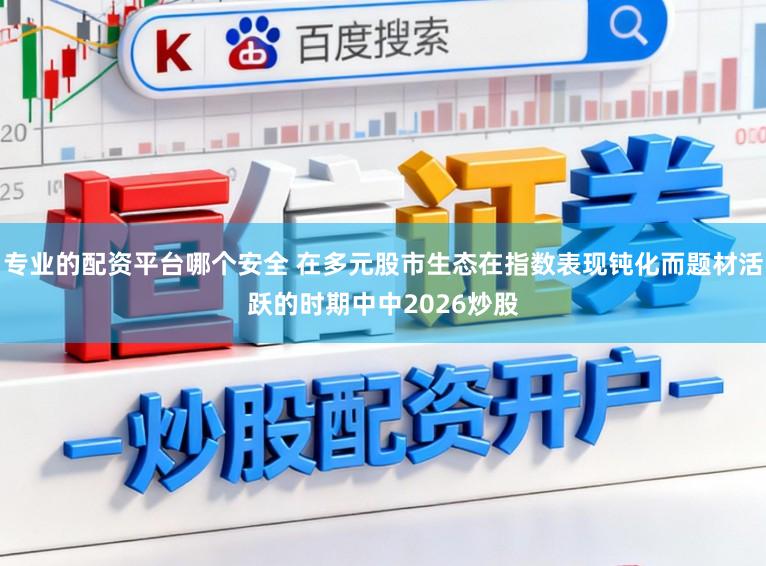 专业的配资平台哪个安全 在多元股市生态在指数表现钝化而题材活跃的时期中中2026炒股