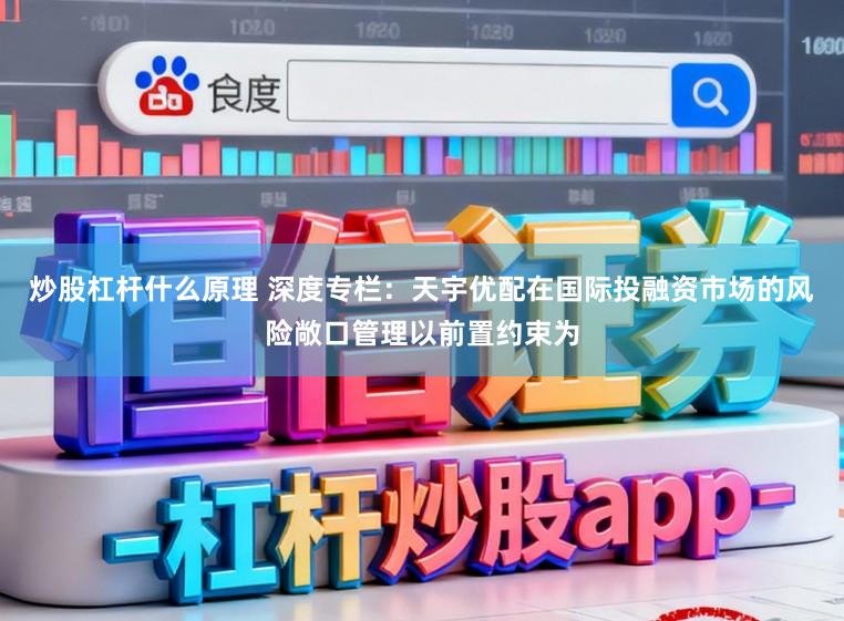 炒股杠杆什么原理 深度专栏:天宇优配在国际投融资市场的风险敞口管理以前置约束为
